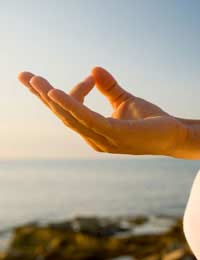 Mudra Hand Meditation Asana Yoga
