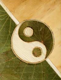 Microcosmic Orbit Meditation Taoism